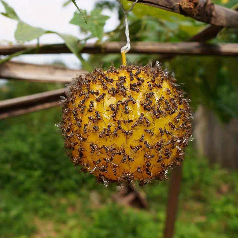 Fruit shaped Sticky Fly Trap Keep Garden Free Mosquitoes - Temu
