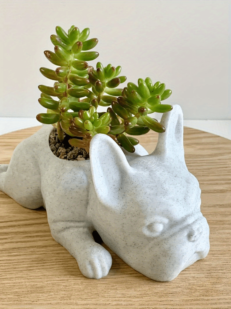 Garden Decor Animals Succulent Planter Temu