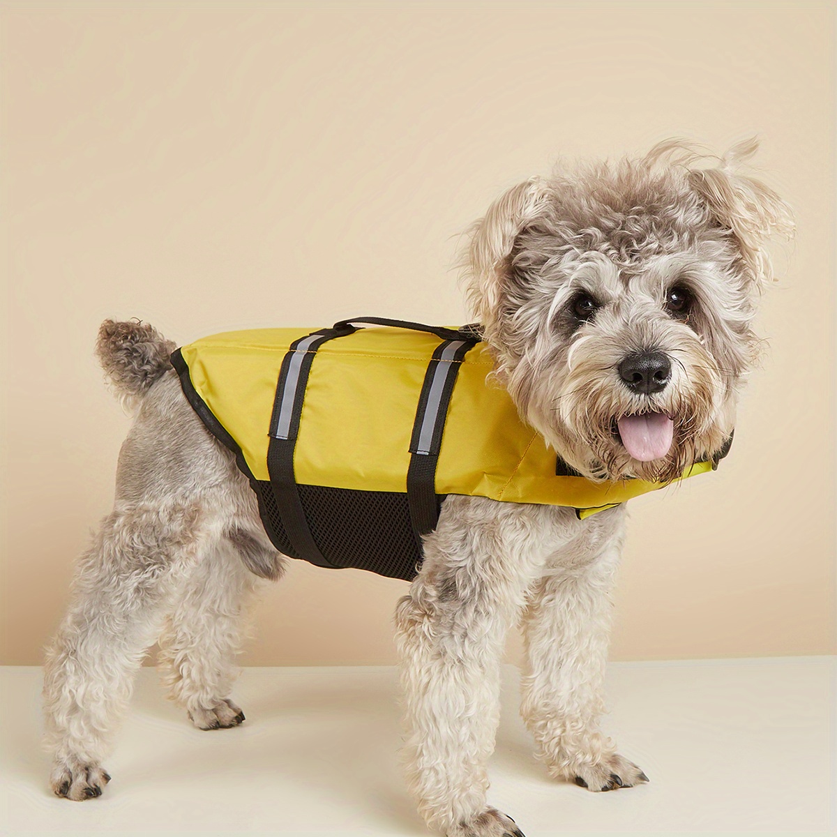 Xxs dog life store jacket