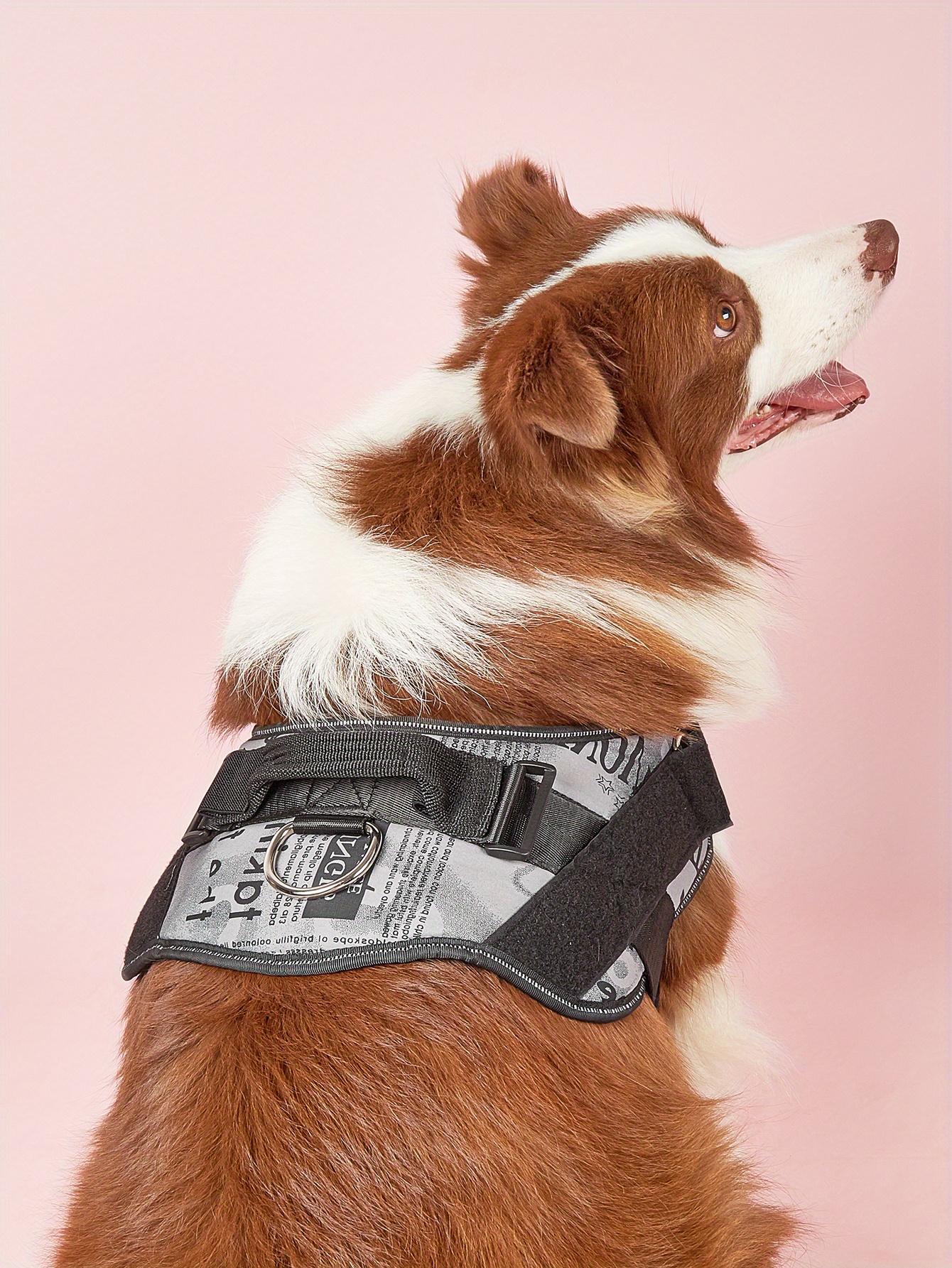 No Pull Dog Harness Letter Print Gray Pet Harness Name Patch Temu