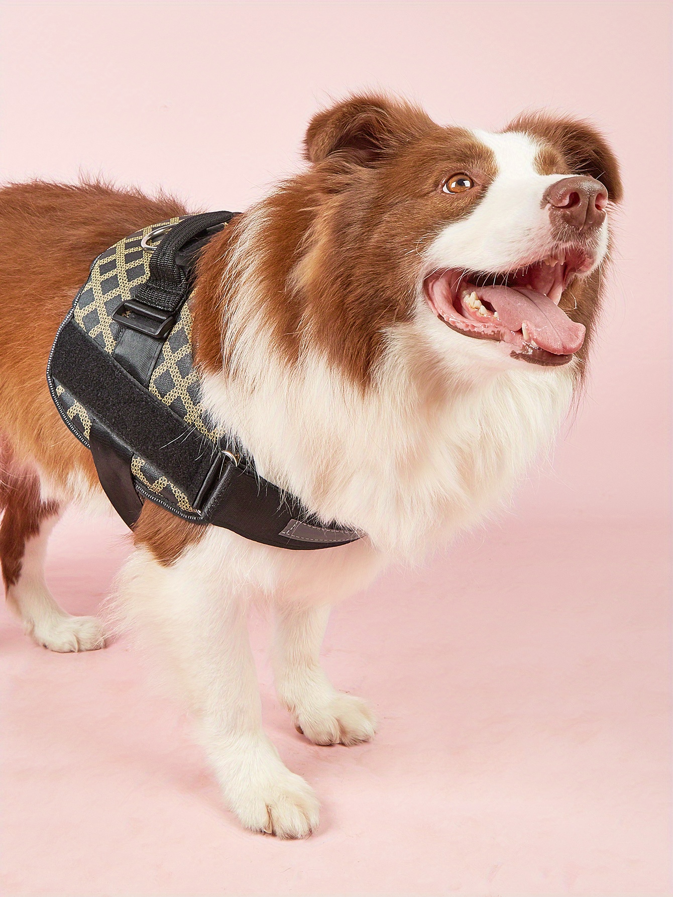 No Pull Dog Harness, Plaid Black Pet Harness With Name Patch, Dog Harness With Handle And D Ring