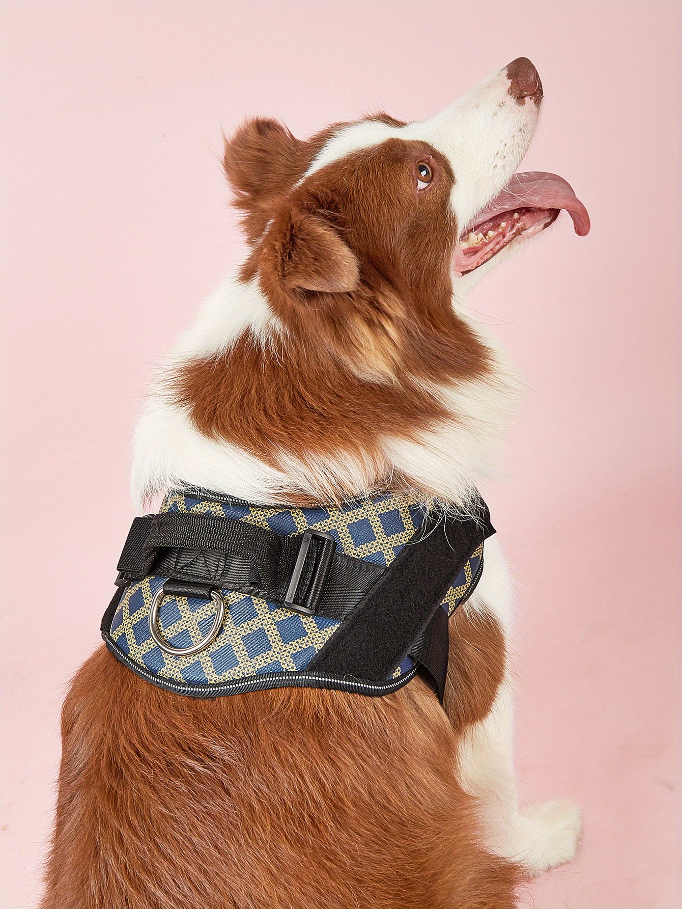 Blue Plaid Nopull Dog Harness With Name Patch, Handle, And Dring Comfortable And Secure