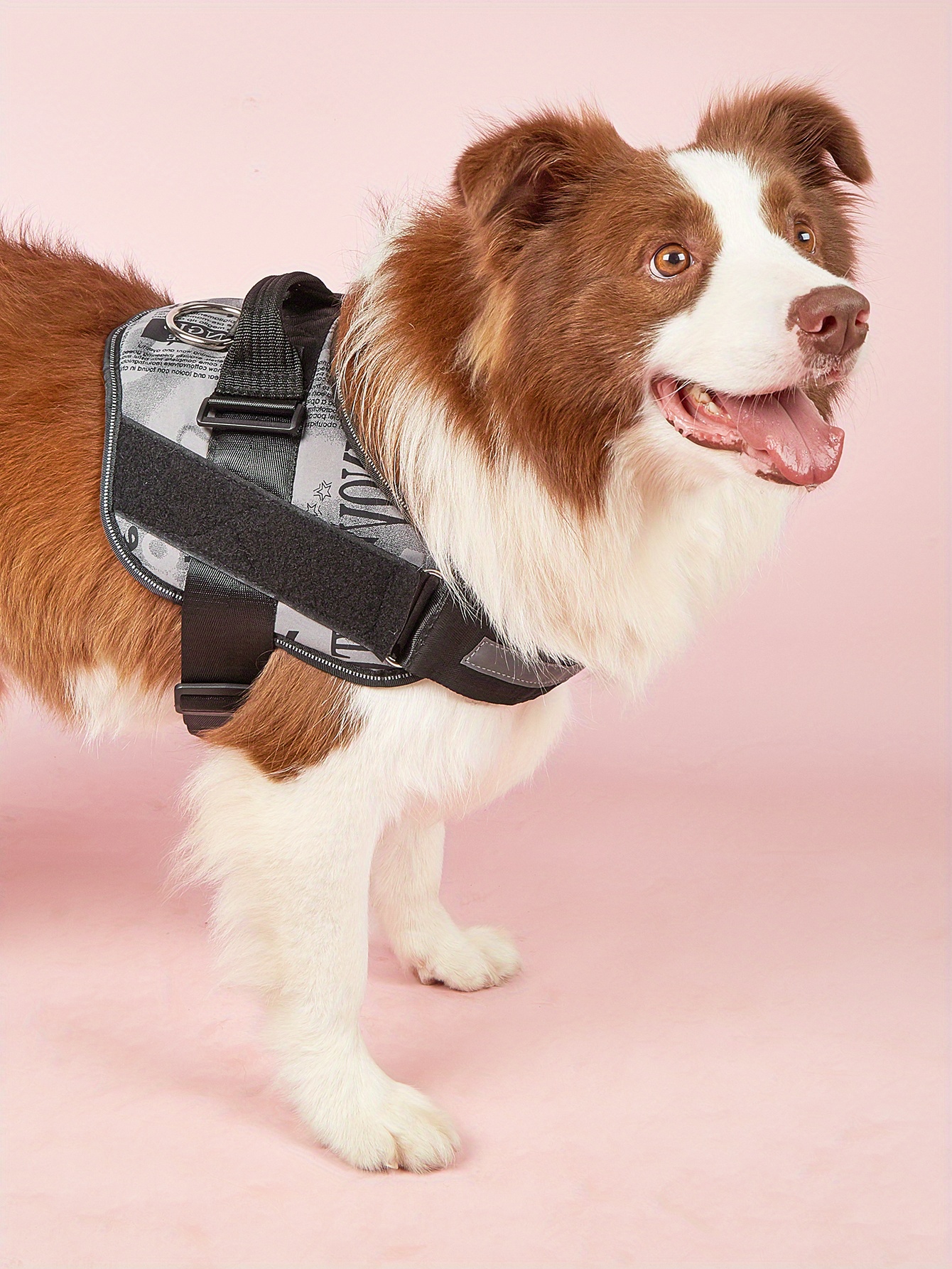 No Pull Dog Harness Letter Print Gray Pet Harness Name Patch Temu