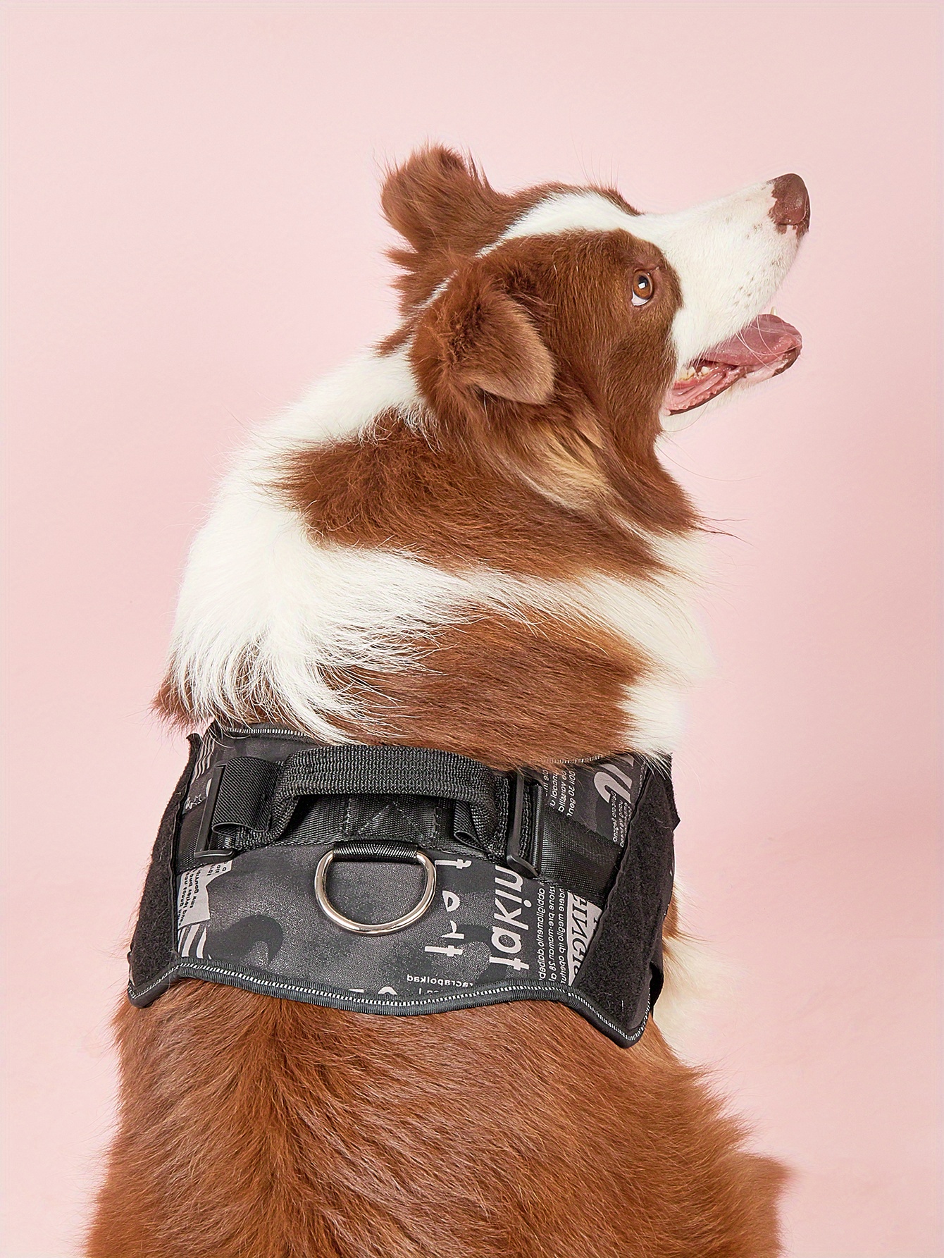 No Pull Dog Harness, Letter Print Pet Harness With Name Patch, Dog