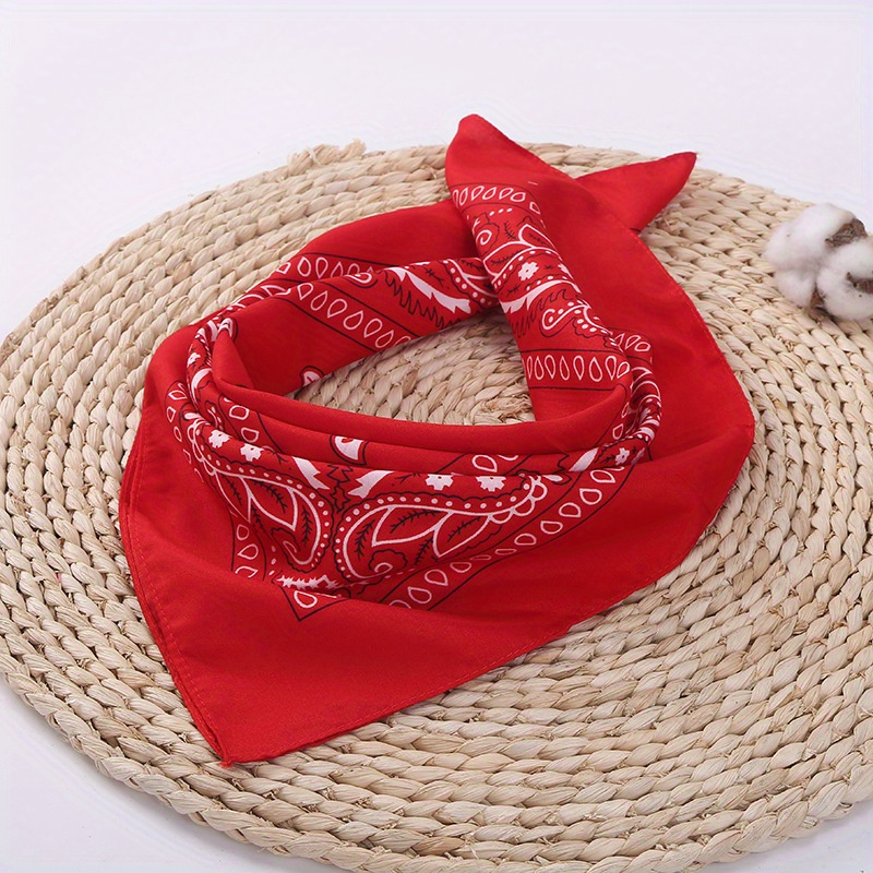 Vintage Paisley Bow Headband Hair Accessories