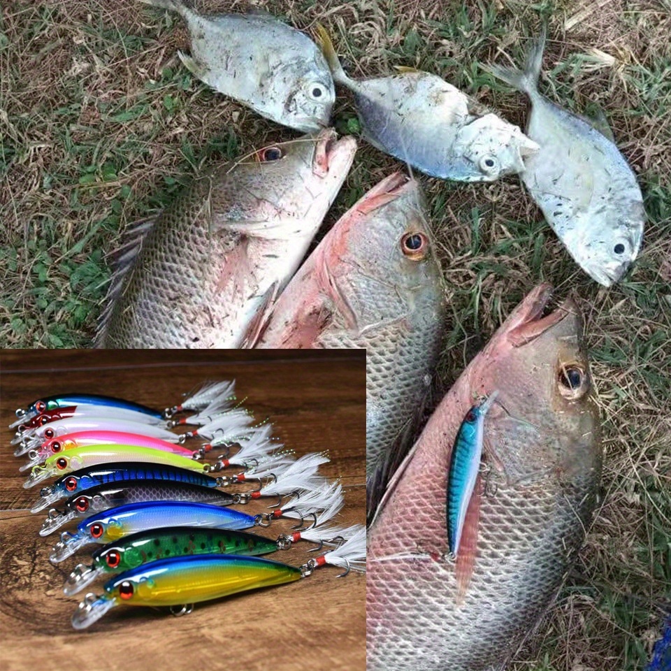 732pcs 3D Fishing Lure Eyes 3mm 4mm 5mm 6mm Holographic Bait Rig Lure Eyes Making Fishing Lure Fly Tying DIY Fake Eyes,12 Colors 4 Sizes