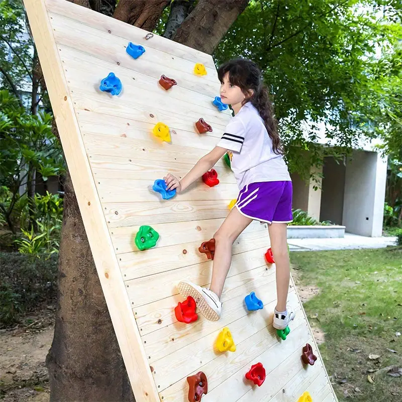 25X prises d'escalade Mur d'escalade de bloc robustes Enfants Indoor Outdoor