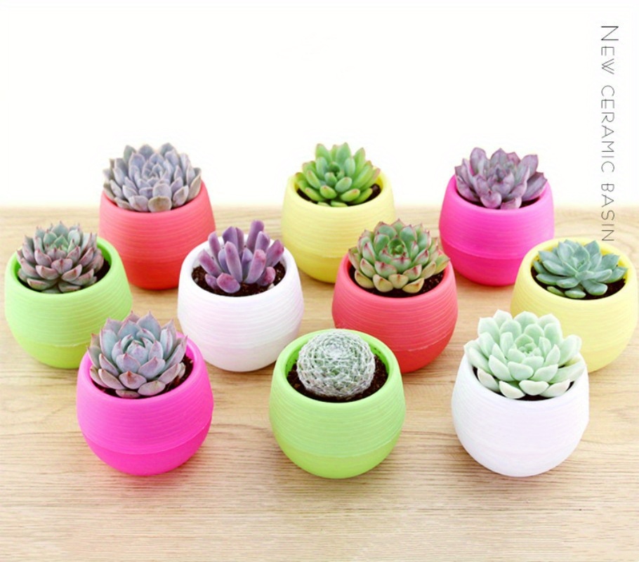 1pc Pot Plante Succulente En Plastique Mini Petit Pot Fleur - Temu France