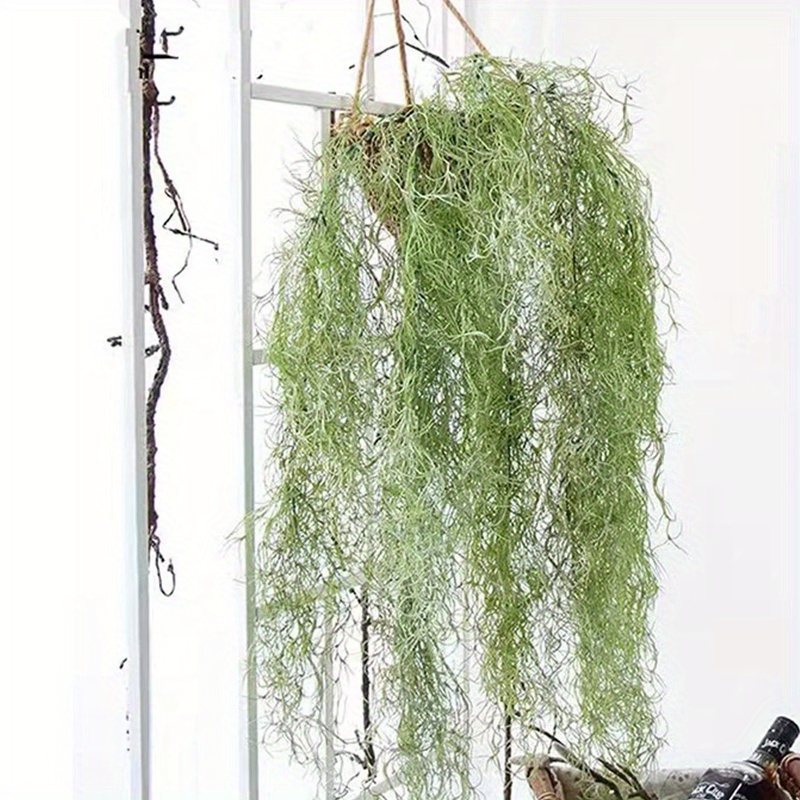 Ahvoler Fake Spanish Moss, Faux Spanish Moss Garland for Potted Plants,  Artificial Hanging Moss Greenery Decor for Crafts Wall Art Garden, 2 Pack