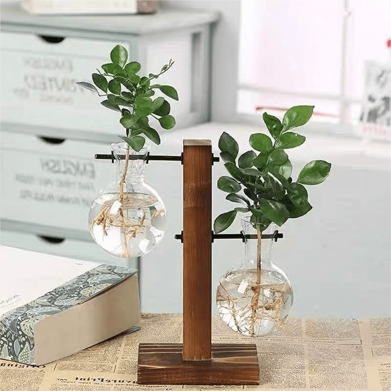 Plant Terrarium Wooden Stand Air Planter Bulb Glass Vase - Temu