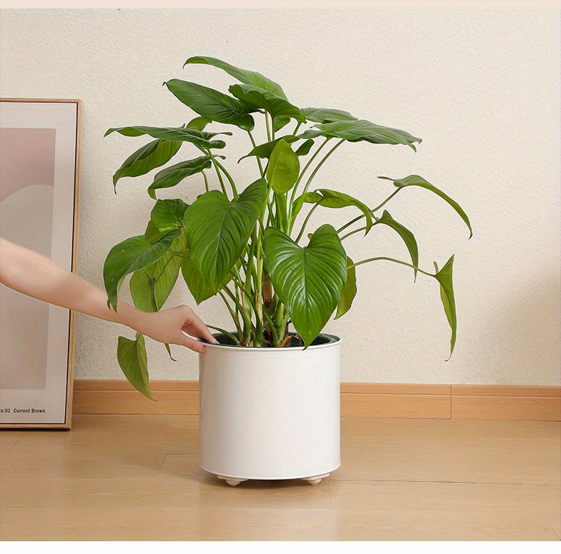 360° Rotating Self adhesive Caster Wheels Upgrade Bins Temu