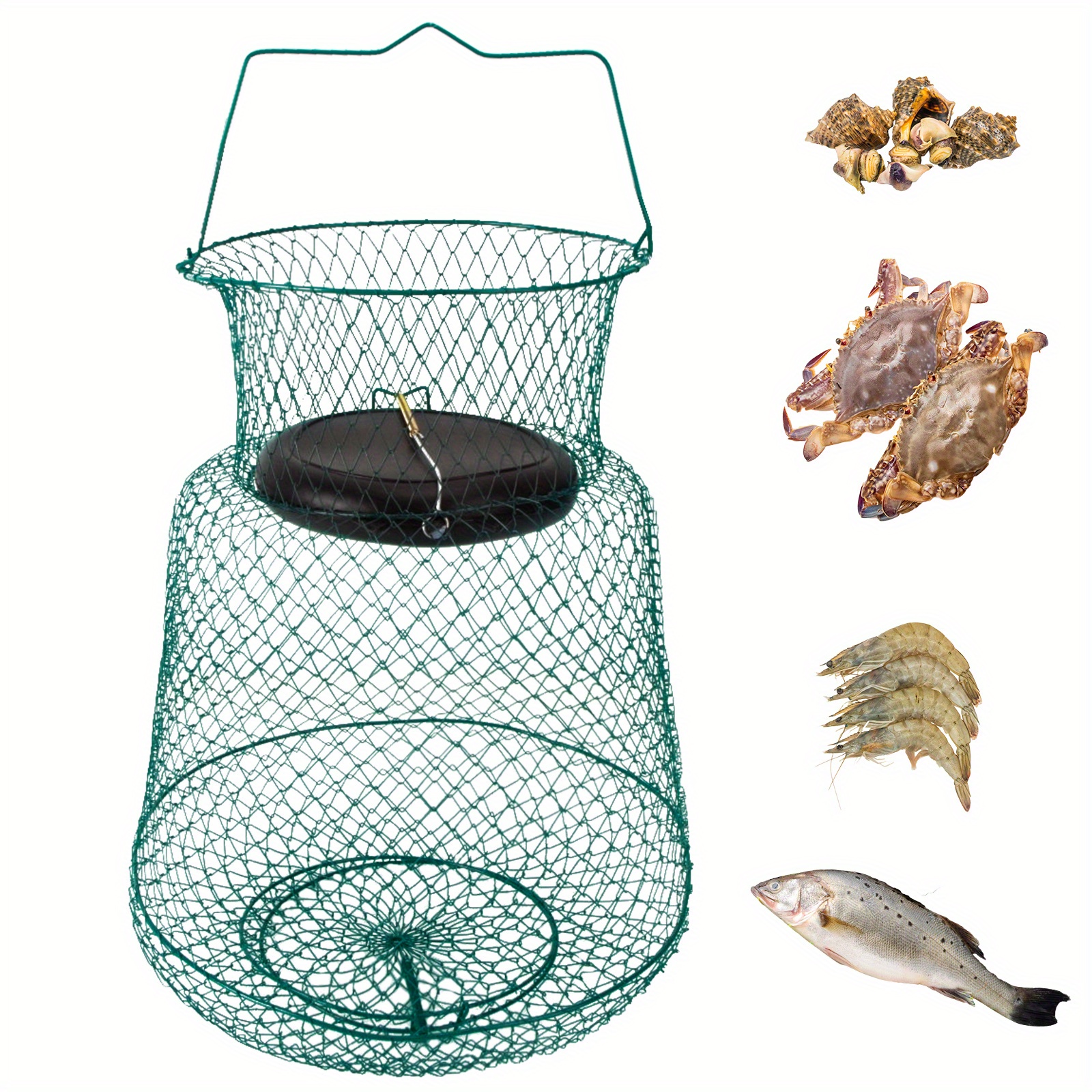 Collapsible Rustproof Fish Basket for Live Fish, Shrimp, and Crayfish -  Floating Fishing Net Cage with Coating