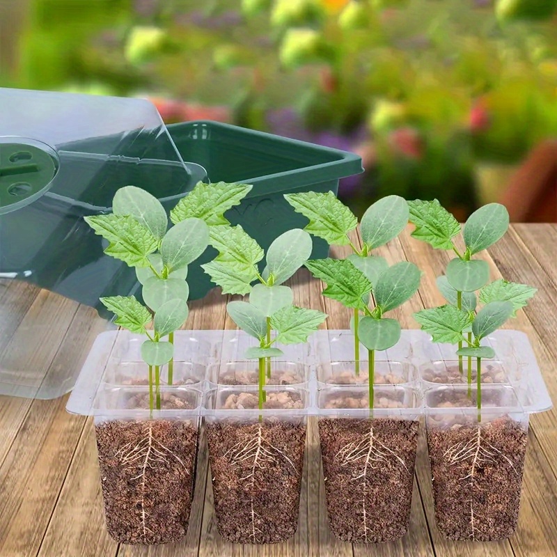 Green Seedling Trays Sprout Vegetable Trays Plastic Garden - Temu