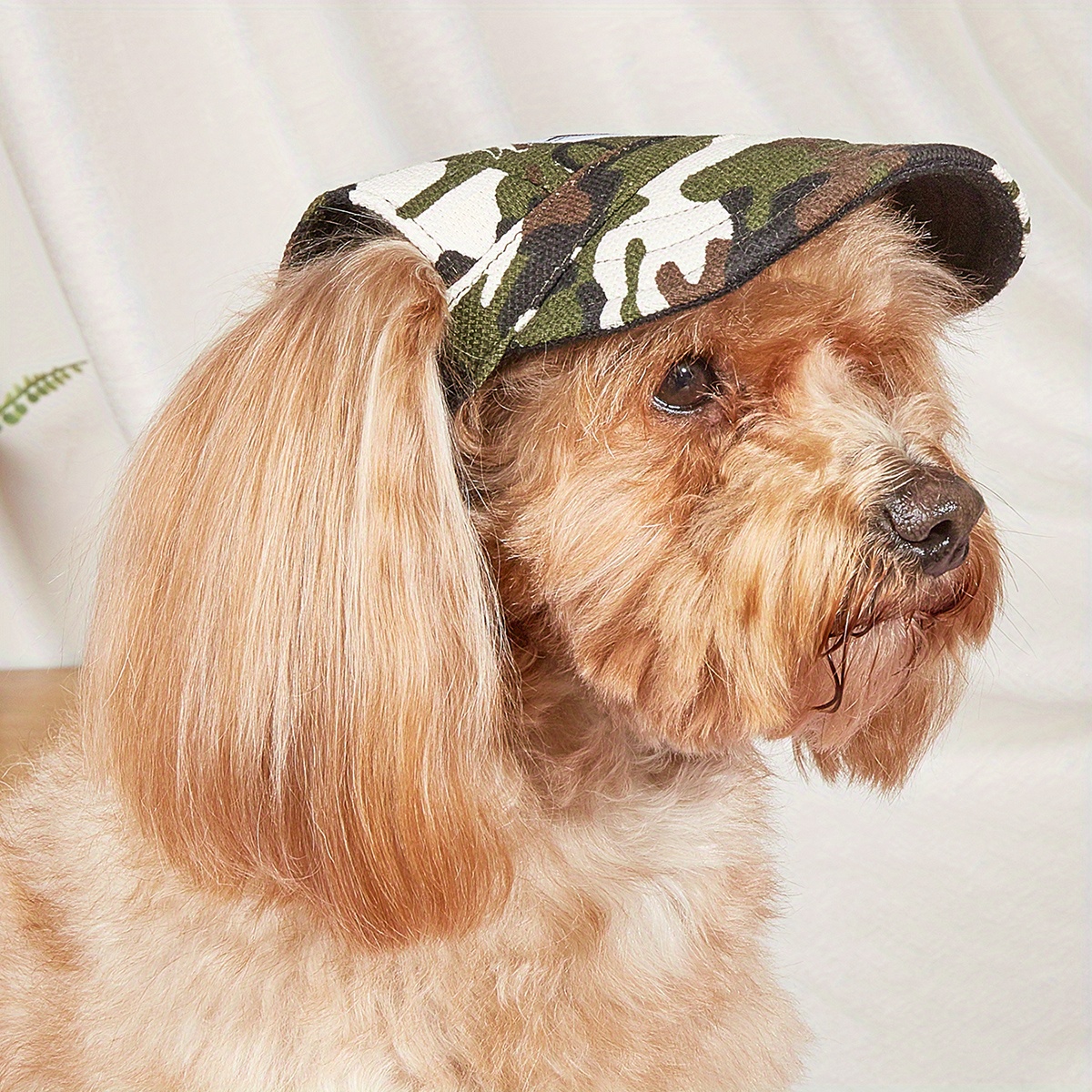 Spring/summer Pet Sun Protection Baseball Cap