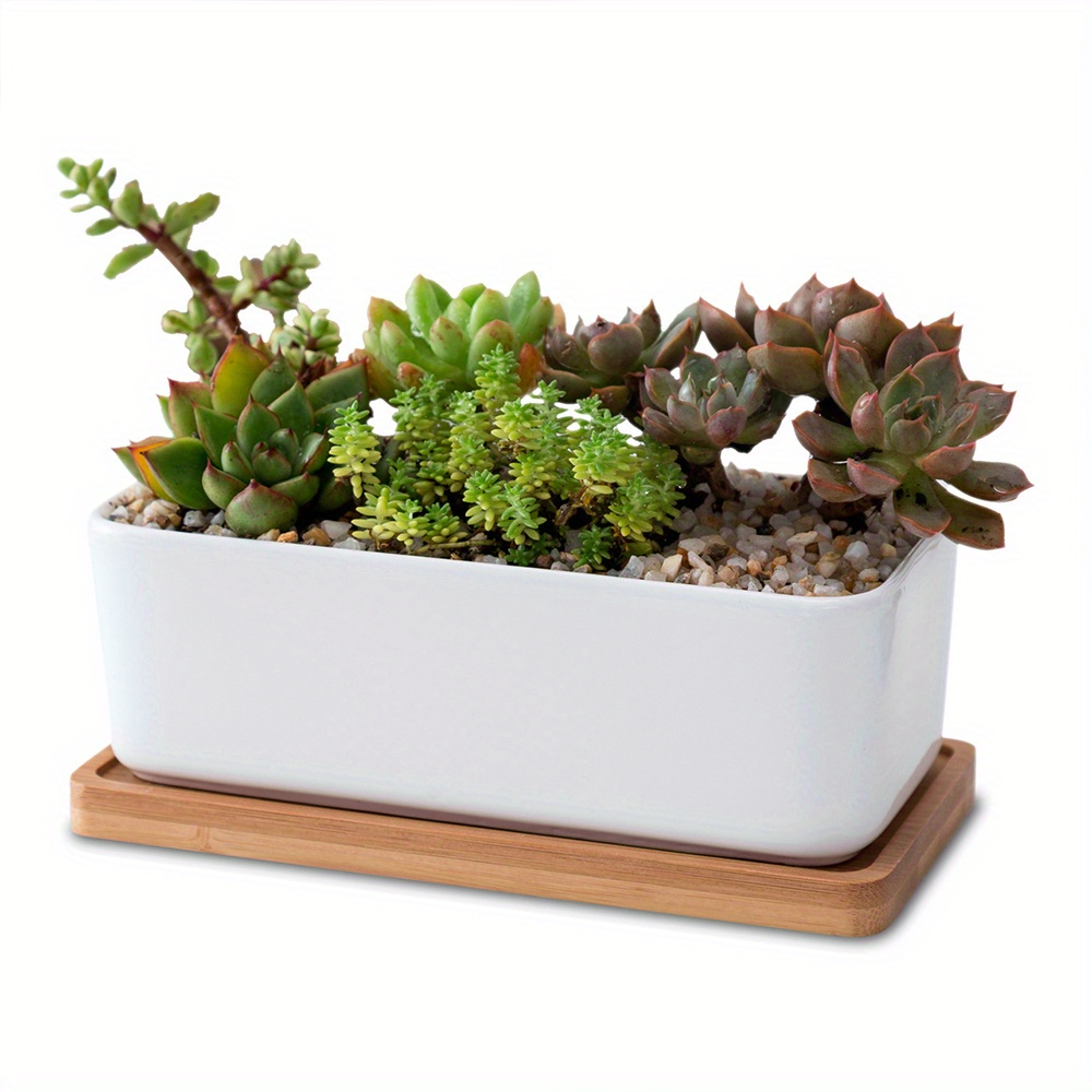 Simple Glazed Ceramic Flowerpot Ideal For Growing Succulents - Temu United  Arab Emirates