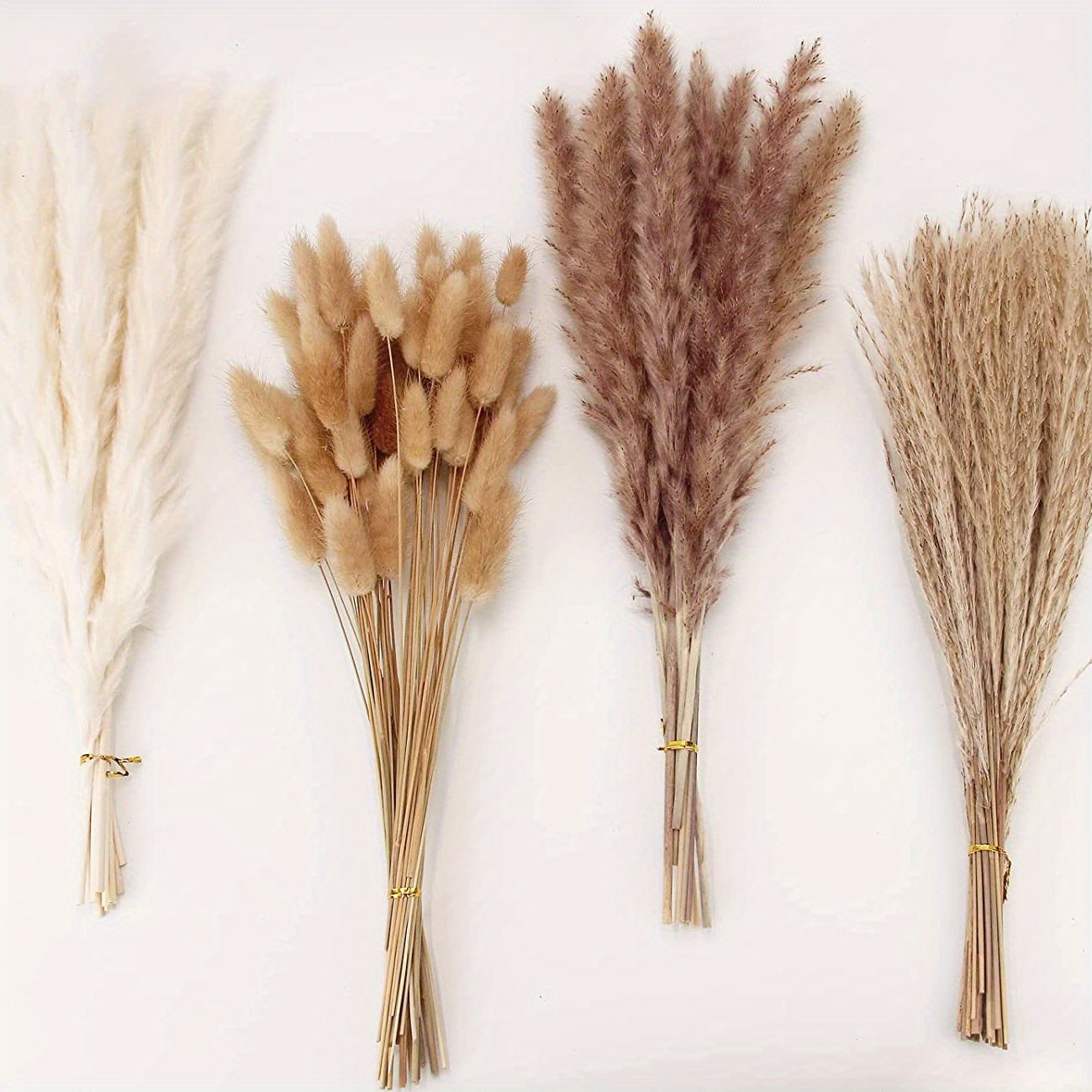 XITENG 100PCS Natural Dried Pampas Grass Bouquet 8 Various Dried Flowers  Boho Home Decor Bouquet Bunny Tails Dried Plants for Wedding Baby Shower