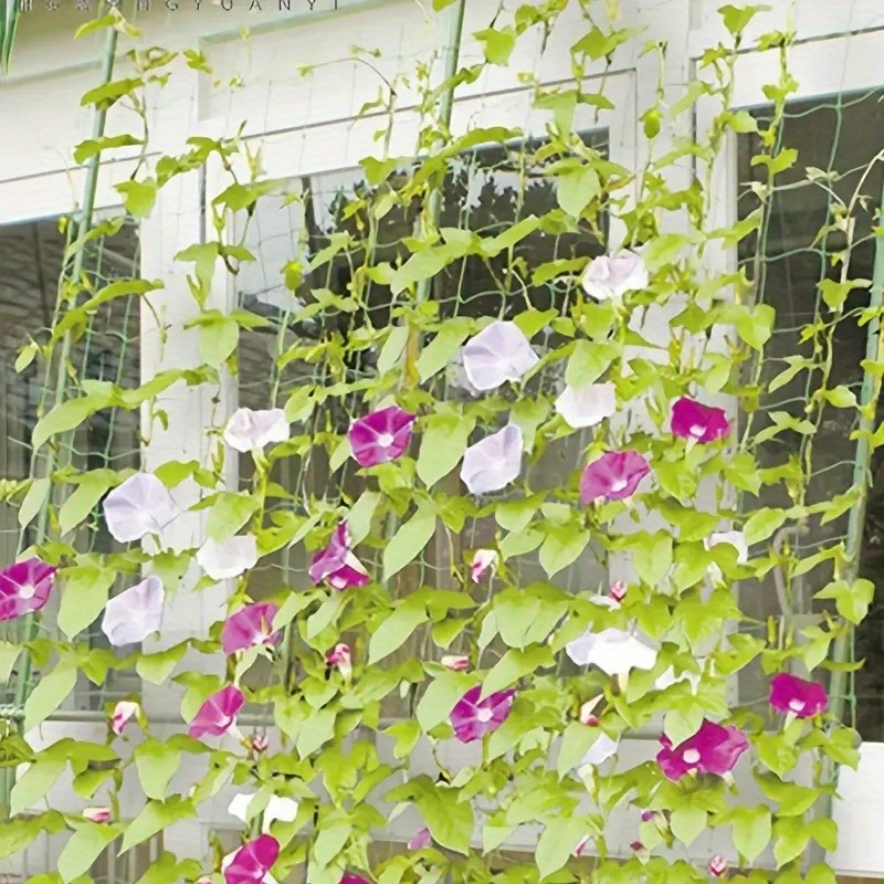 1pc Plant Climbing Net 179.83cm*89.92cm, Trellis Netting For Climbing Plants, Planting Supplies & Tools, High Quality Nylon Garden Loofah Morning Glory Flowers Vine Plants Climbing Net Cucumber Vine Grow Holder Trellis Netting