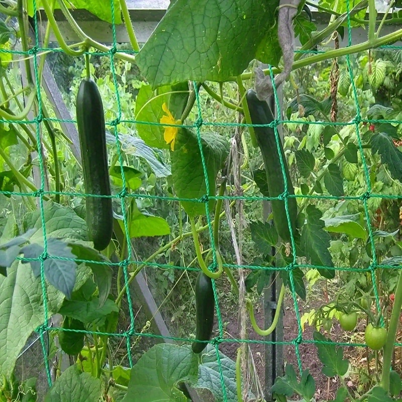 1pc Plant Climbing Net 179.83cm*89.92cm, Trellis Netting For Climbing Plants, Planting Supplies & Tools, High Quality Nylon Garden Loofah Morning Glory Flowers Vine Plants Climbing Net Cucumber Vine Grow Holder Trellis Netting