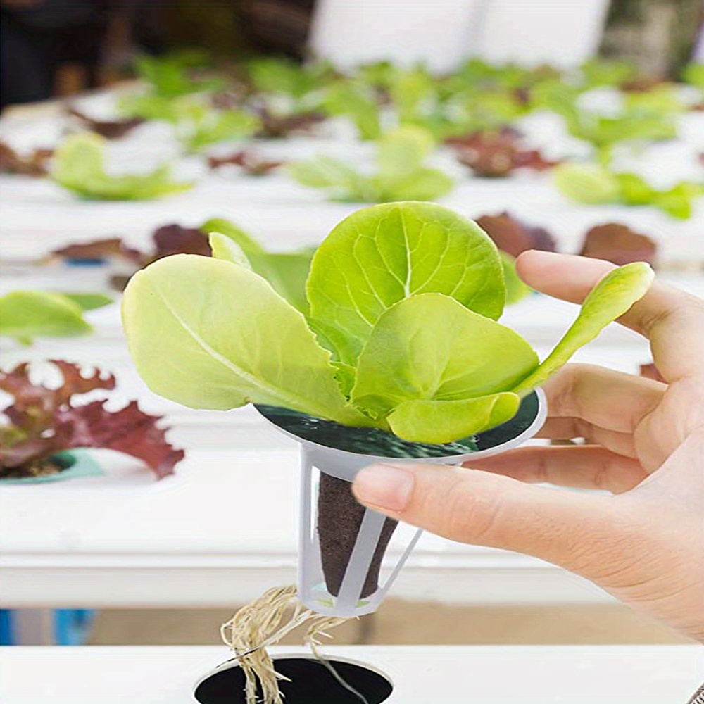 Seed Pod Kit For Aerogarden, Hydroponics Garden Accessories For Hydroponic Growing System, Grow