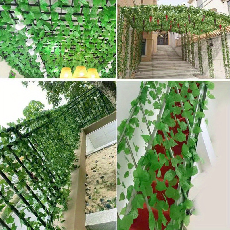 GIRUVI 「Grow on the Wall」Gracilius Vertical Grape Vine On Wall GIRUVI 「Grow On The Wall」Gracilius