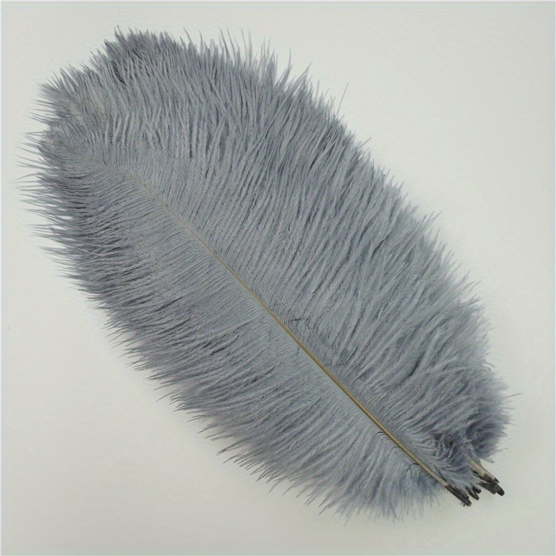 Colored Ostrich Feathers Used Photo Props Decorations - Temu