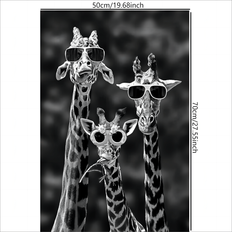 black and white pictures of giraffes