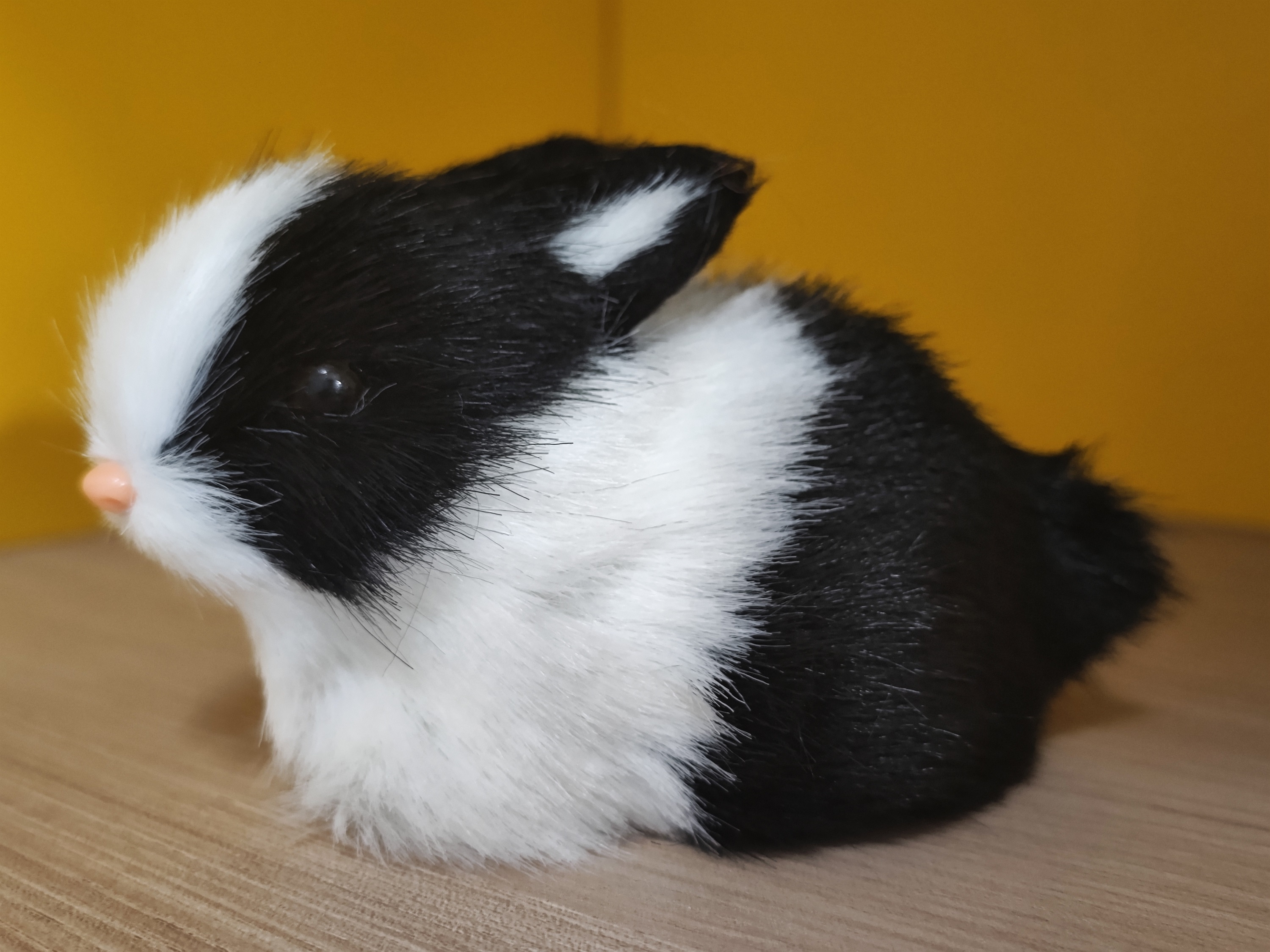Peluche Lapin Holland Lop