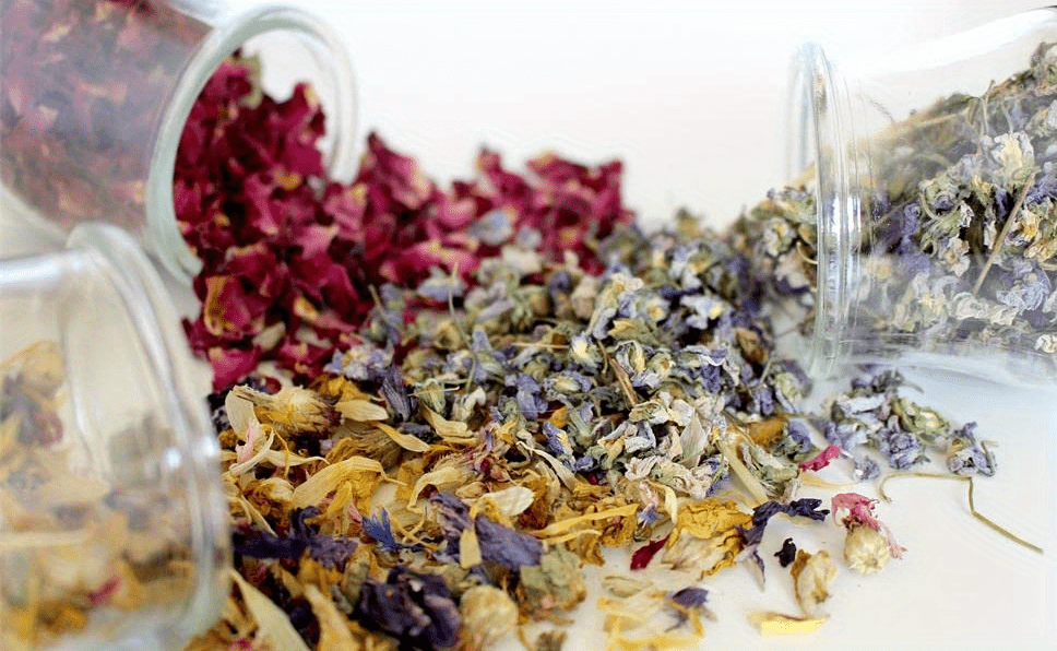 20g Natural Dried Flowers Herbs Kit For Soap Making, DIY Candle Making,  Bath - Include Rose Petals, Lavender, Don't Forget Me, Lilium, Jasmine,  Rosebuds And More - Halloween Thanksgiving Christmas Decor, Room