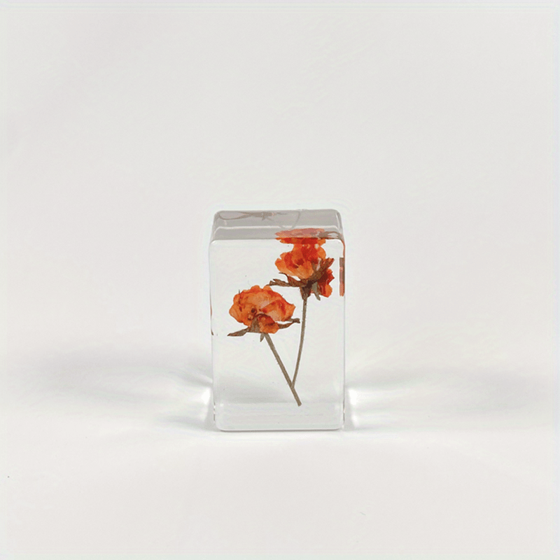 Amber Dried Flower Stem Box, Bookblock