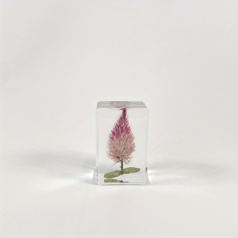 Amber Dried Flower Stem Box, Bookblock