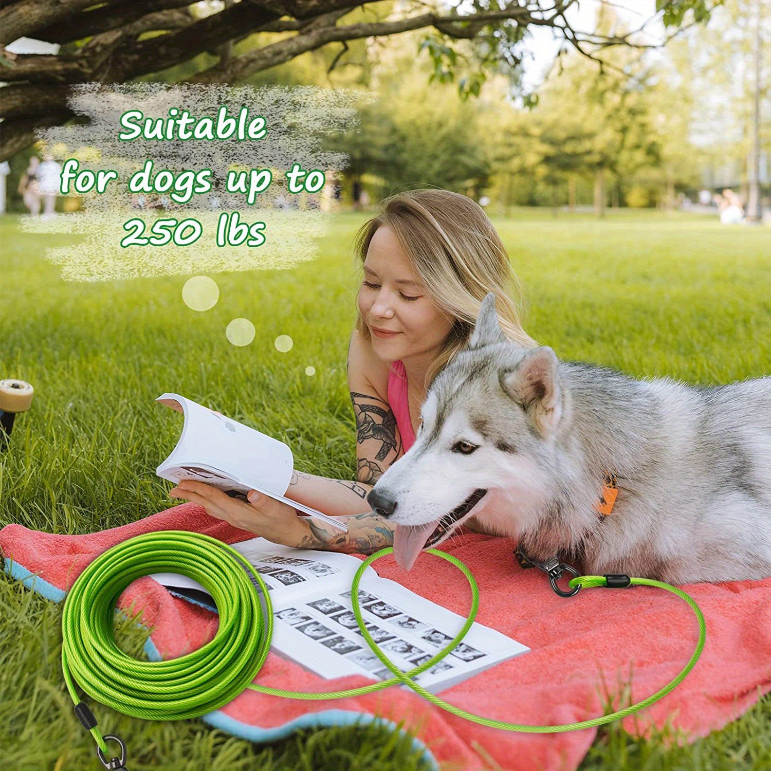 Durable Dog Tie Out Cable With Shock Absorbing Spring Keep Temu