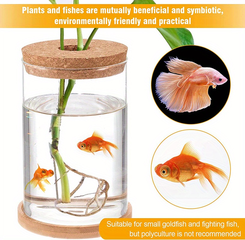 NEW Glass Betta Fish Tank Bamboo Base Mini Aquarium Fish Tank For Desktop  Wood