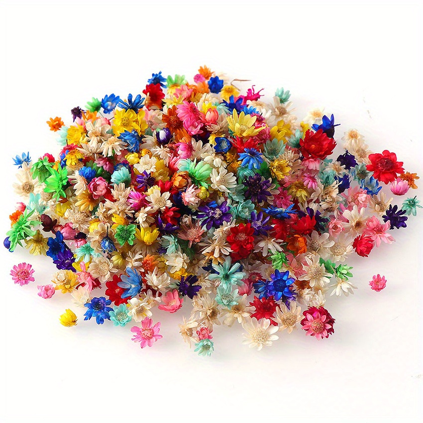 1 Bag Of Colorful Natural Dried Flowers Elegant Fashion For Soap Making,  Resin Jewelry, DIY Candle Making
