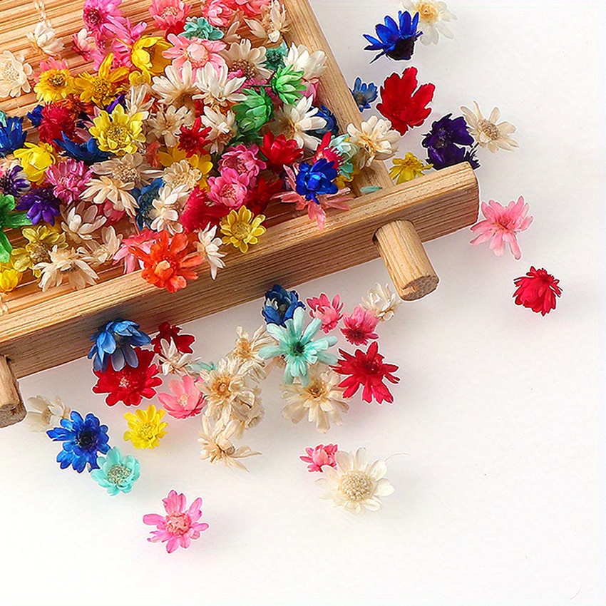 1 Bag Of Colorful Natural Dried Flowers Elegant Fashion For Soap Making,  Resin Jewelry, DIY Candle Making