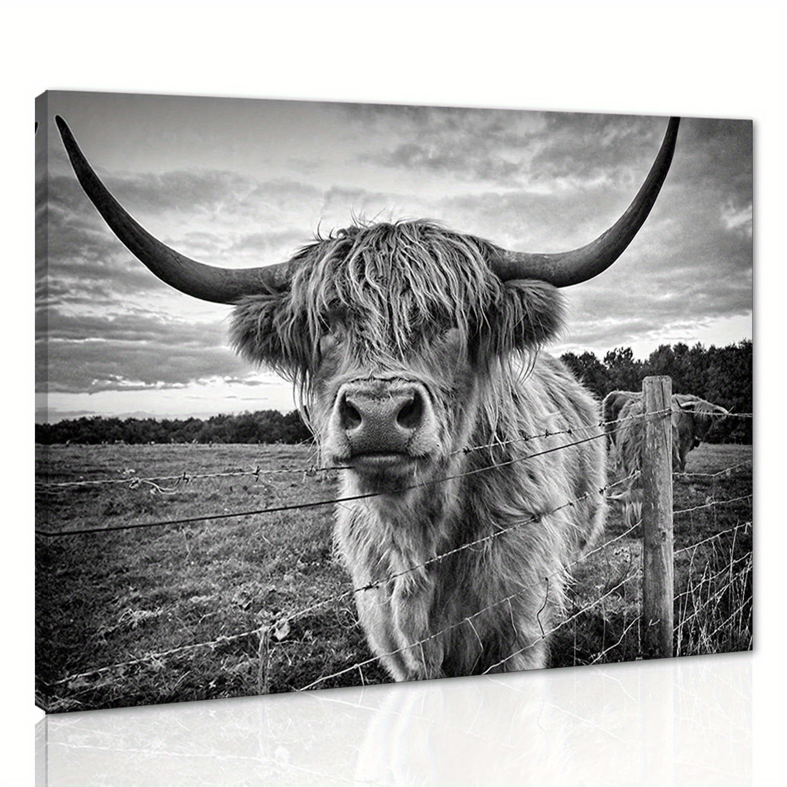 Canvas Painting Highland Longhaired Cow Cute Cow Sublimation - Temu