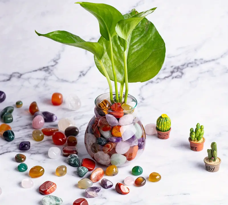 random polished natural - Temu Australia