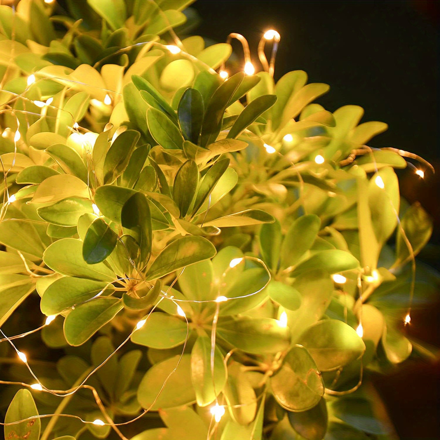 8 Modes Fairy String Lights Usb Plug In Led String Lights Temu