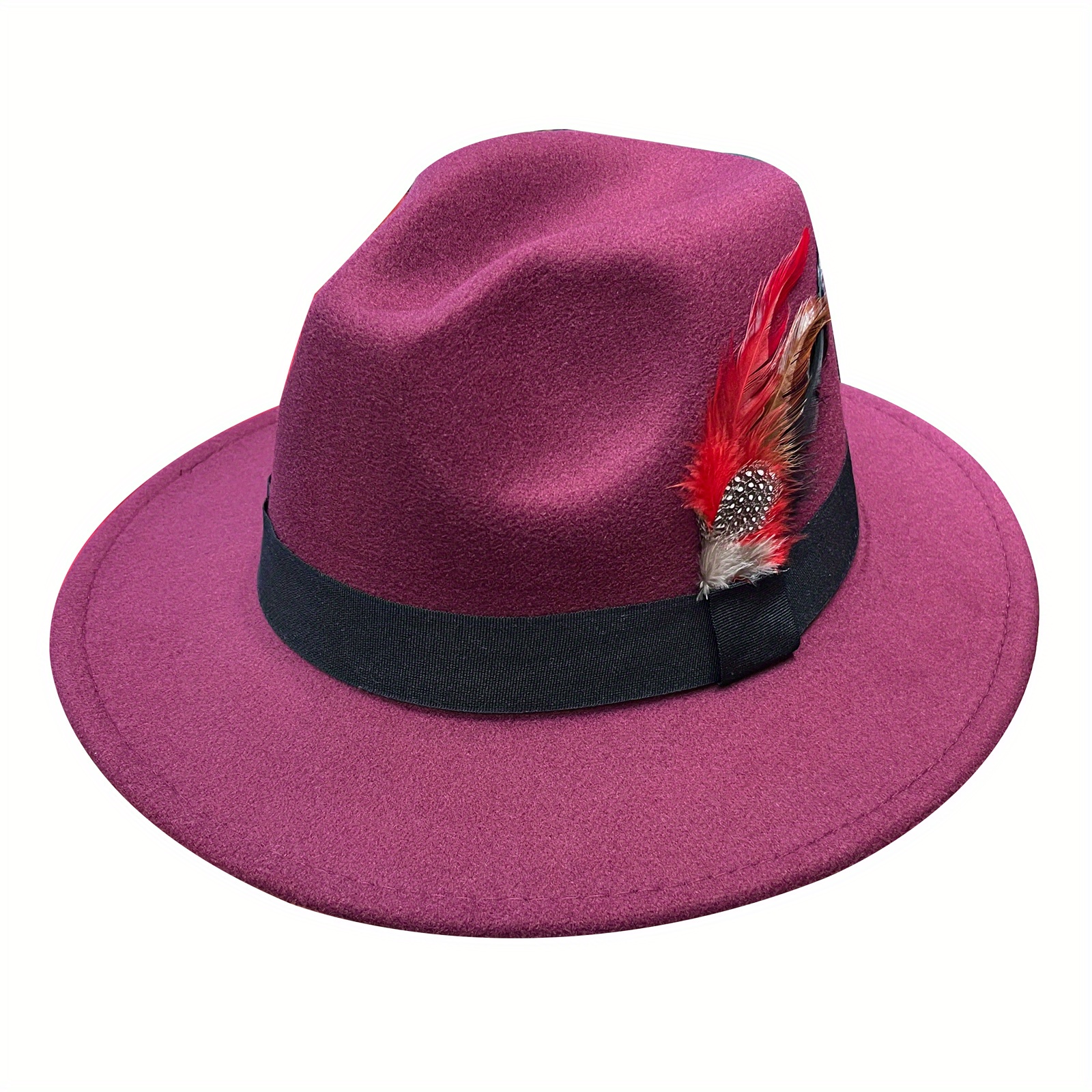 Wide Birm Fedora Hat Feather Decor Felt Hat