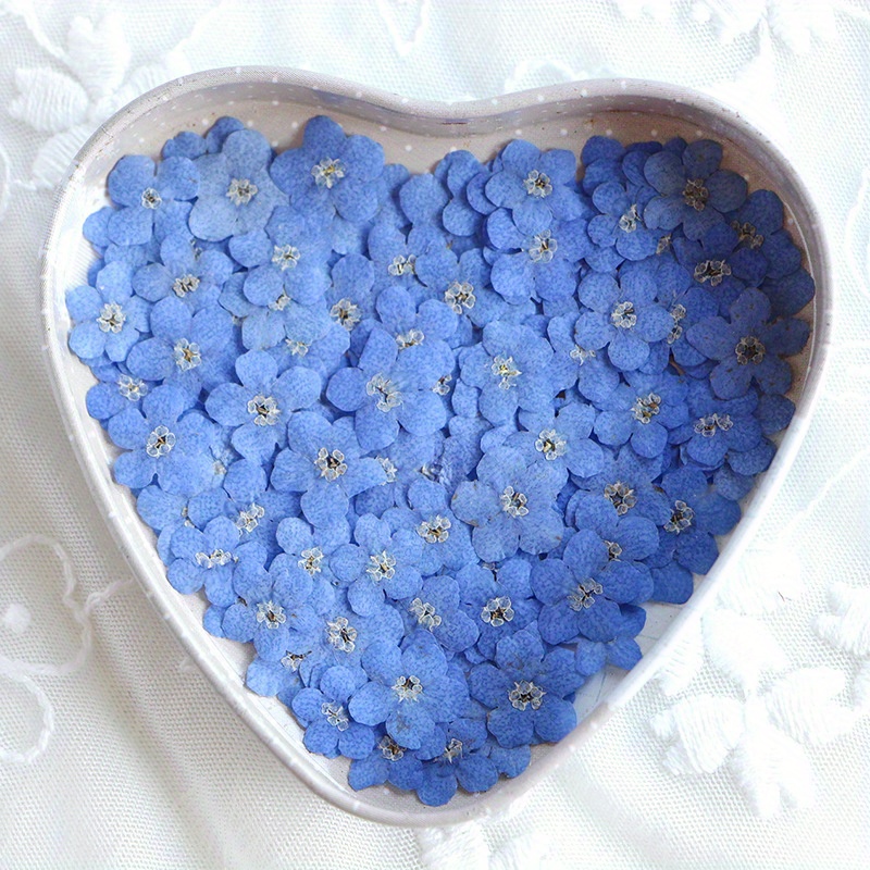Blue Dried Pressed Flowers For Resin, 60PCS Natural Jamaica