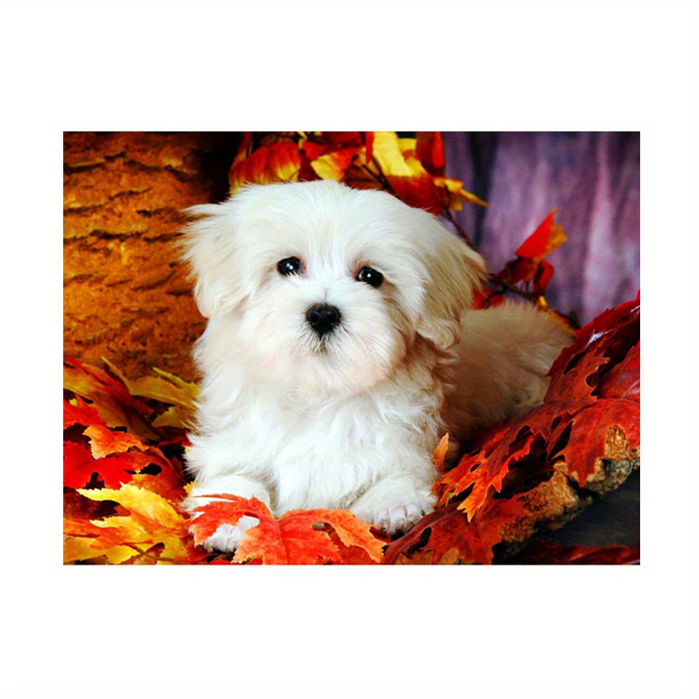 Adorable Maltese Dog - Diamond Paintings 