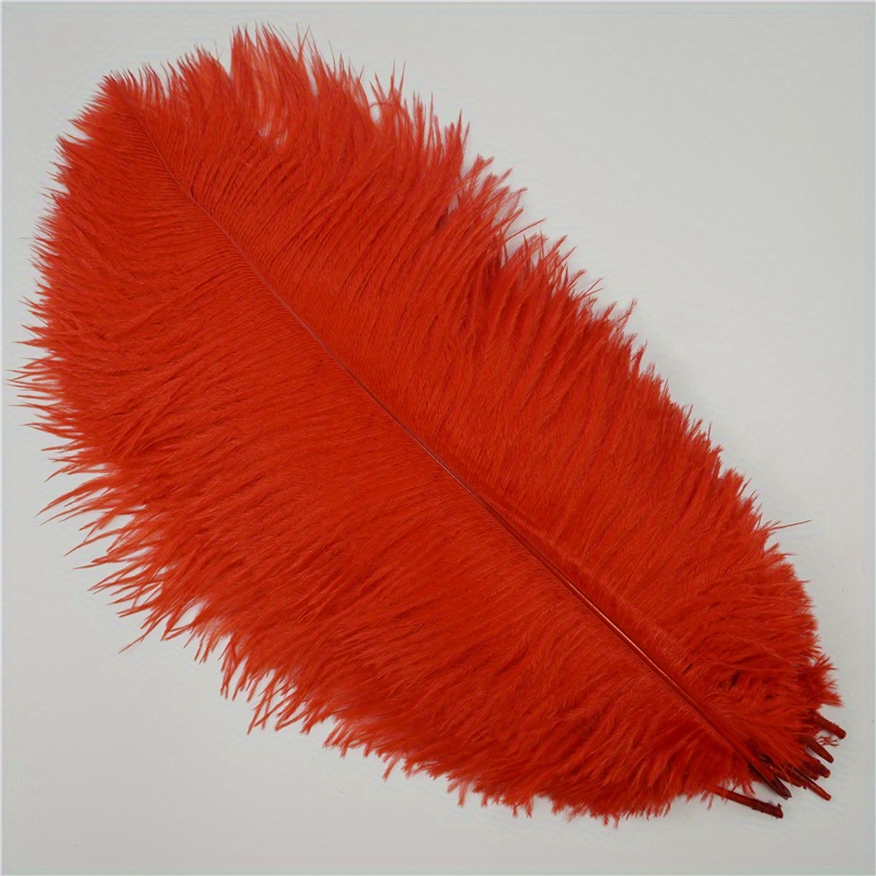  YY 10 unids/lote 40-45CM 16-18 plumas de avestruz para  manualidades plumas fabricación de joyas decoraciones de boda Plumas plumas  avestruz plumas D118 (color: rojo) : Arte y Manualidades