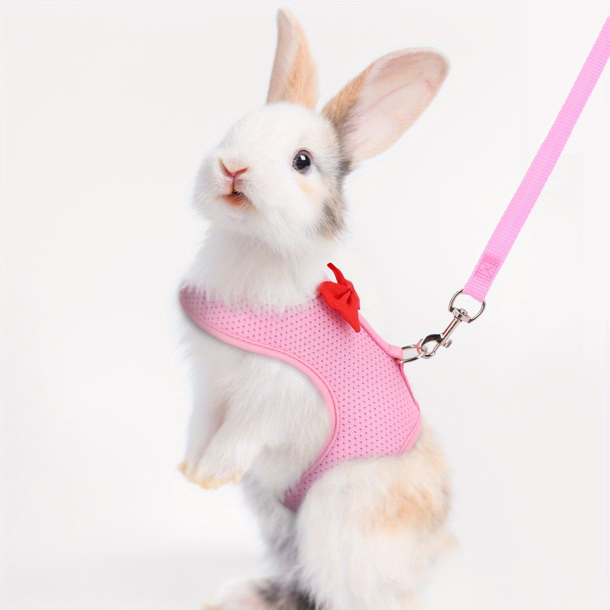 Breathable Mesh Pet Rabbit Chest Back Set Harness Small Temu South Africa