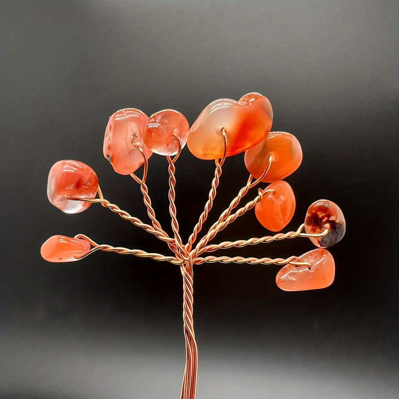 copper wire for propergating plants｜TikTok Search