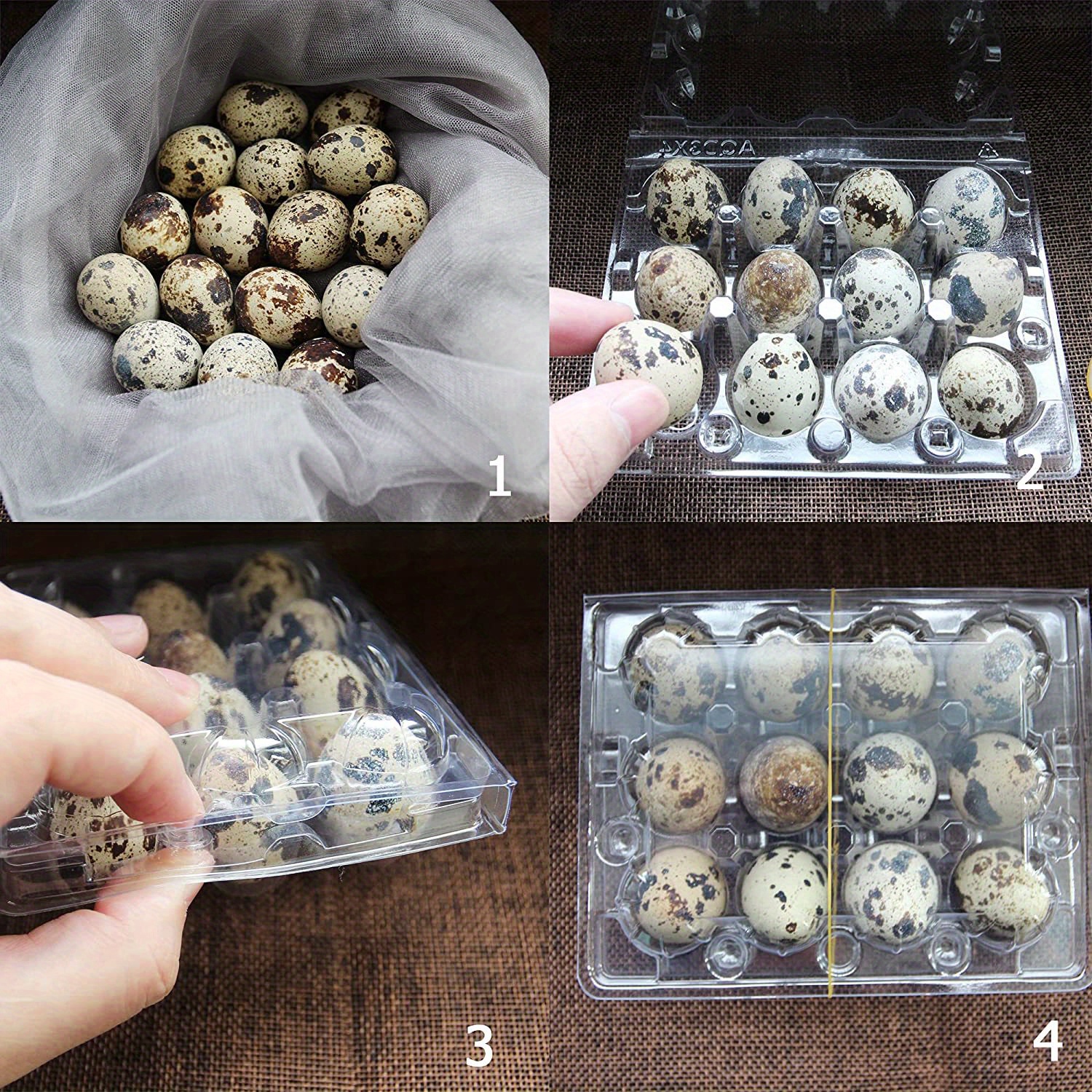 Reusable Quail Egg Cartons Clear Plastic Container Market Temu