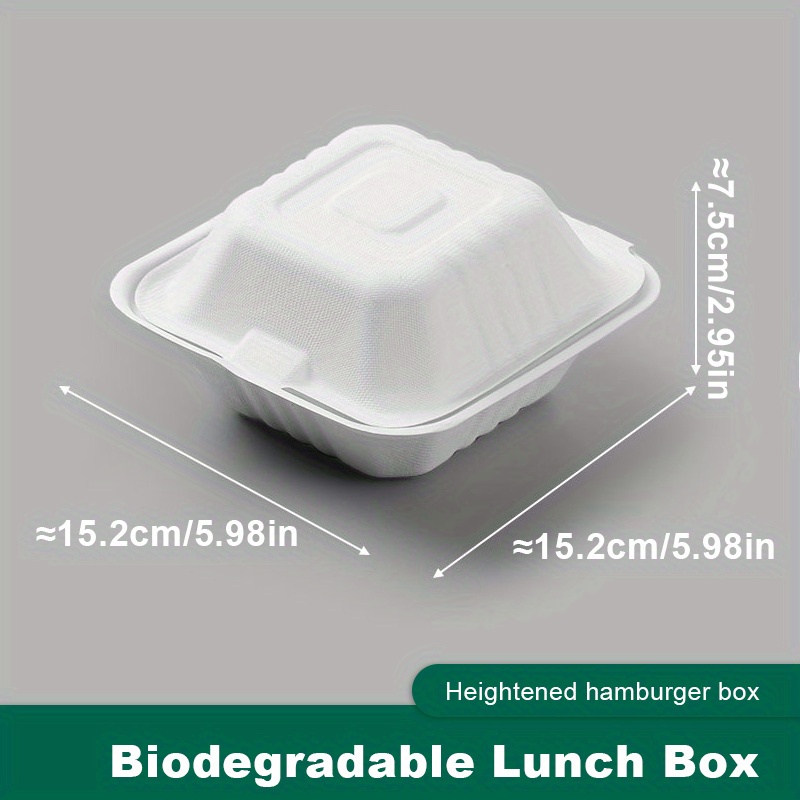 eco friendly disposable lunch boxes