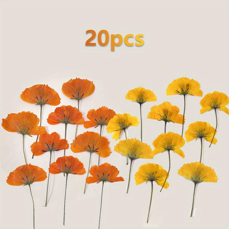 Dried Flowers For Candle Making Natural Pressed Flowers Colorful DIY Art  Floral Decors Collection Gift Craft 4