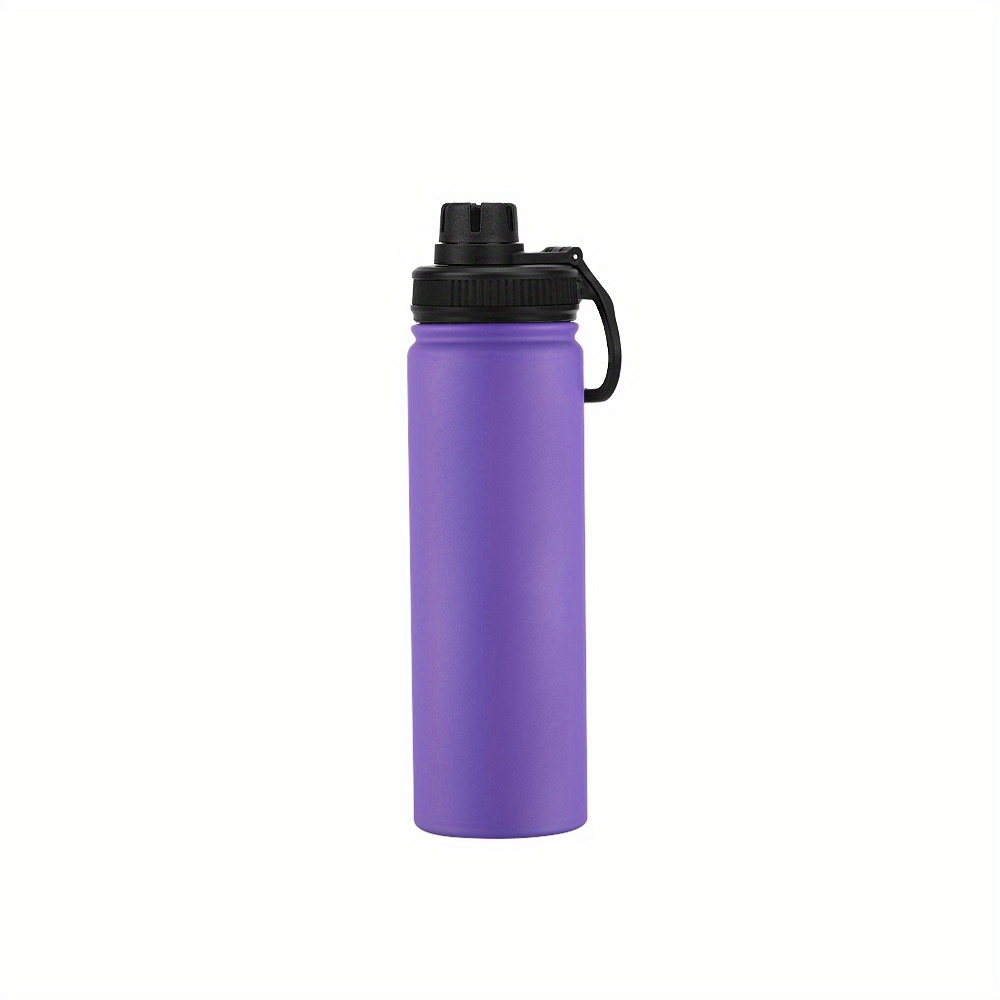 Insulated Stainless steel sports Water Bottle (Purple)
