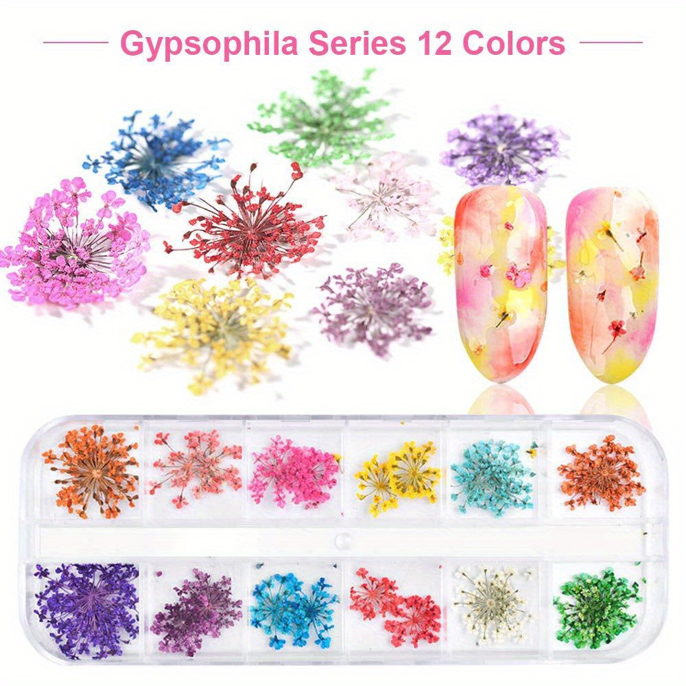 12 Colors 3d Dried Flowers Nail Art Decals colorful Dried - Temu Australia