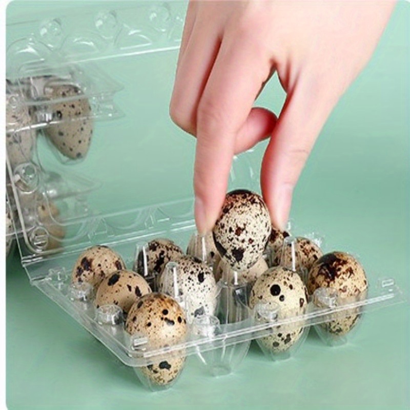 Quail Egg Tray for Cabinet Incubators