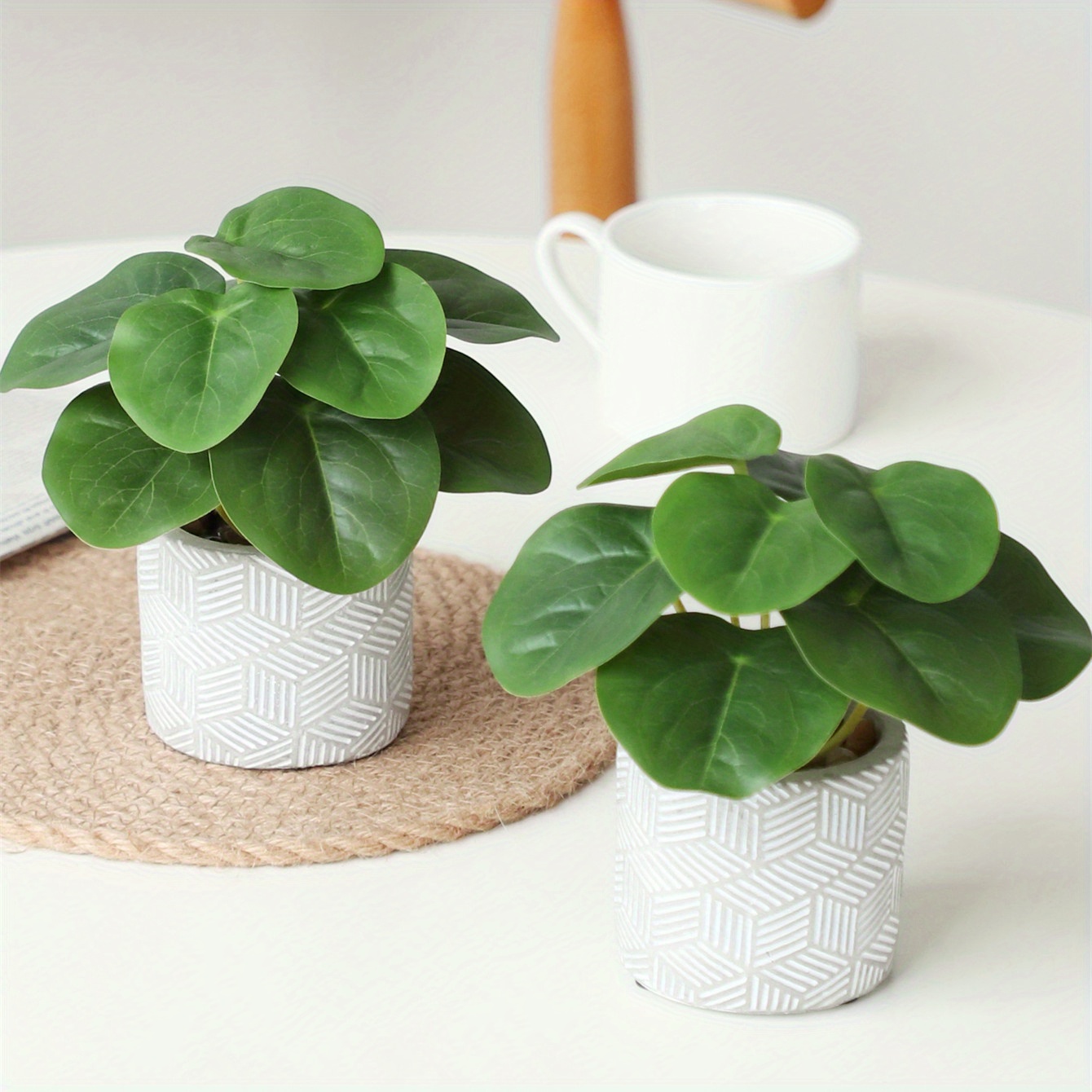 Simulation Small Potted Plants Suitable For Living Room Temu